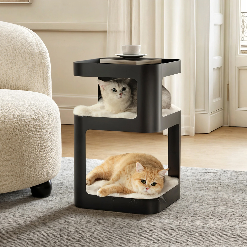 httpERK-P-CET03-B